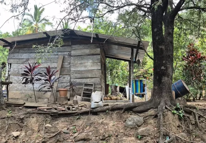 Sus habitantes no cuentan con los servicios básicos.