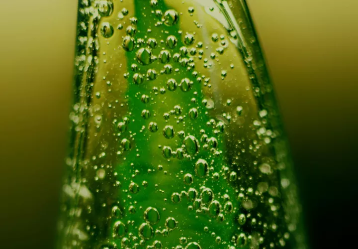 Mejora el metabolismo y ayuda a eliminar toxinas. Foto: Pexels