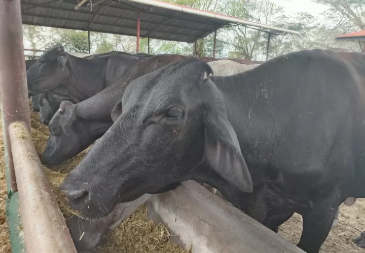 El INA reitera que la institución es de puertas abiertas y aclara falsos señalamientos. Foto: Cortesía
