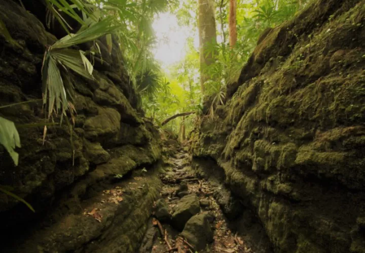 Representará una gran oportunidad para el desarrollo económico y cultural. Foto: Cortesía