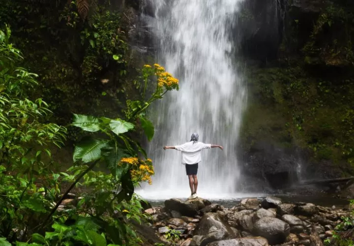 “Ven” se difundirá a nivel global a través de misiones internacionales, reuniones con importantes estudios cinematográficos. Foto: Cortesía