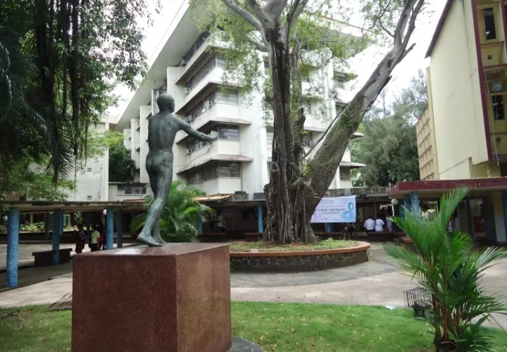 La Escuela Internacional de Verano de la Universidad de Panamá arranca el lunes 10. Foto: Cortesía