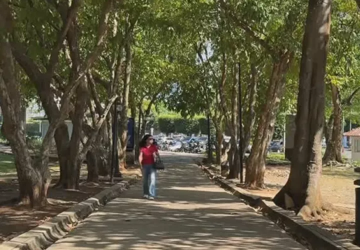 El Parque Omar recibirá al Festival Vibra Panamá. Foto: Instagram