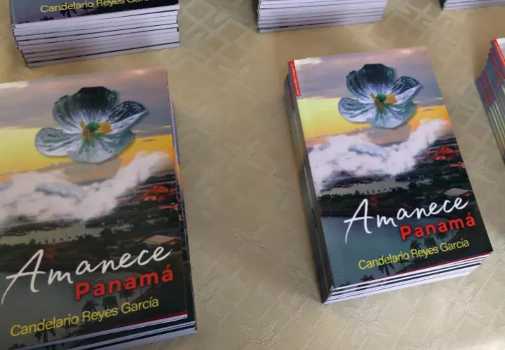 La obra captura la esencia de Panamá. Foto: Cortesía