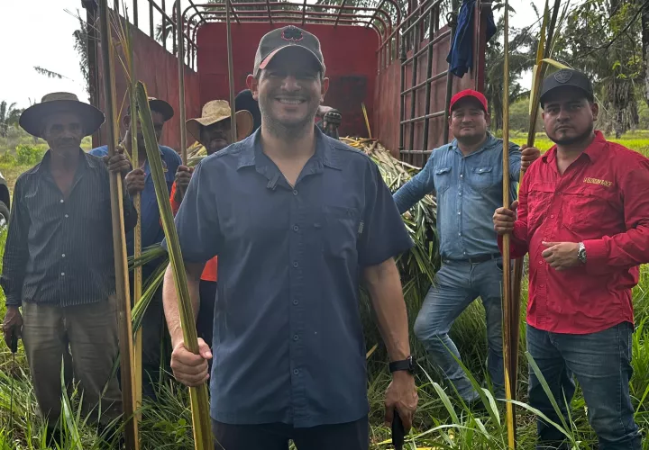 Una labor realizada por la familia Castillo.