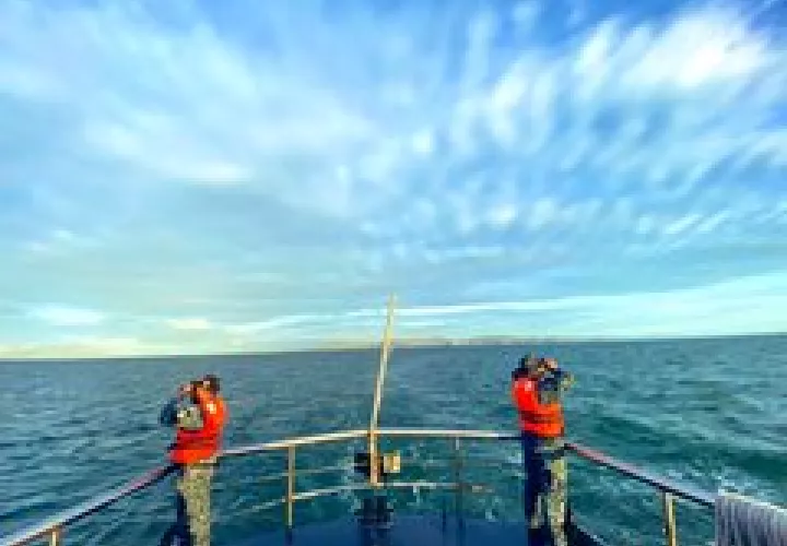 Búsqueda en mar abierto.