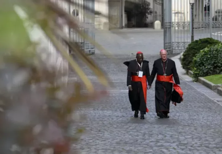 Dos cardenales se dirigen a la quinta congregación general. Foto: EFE