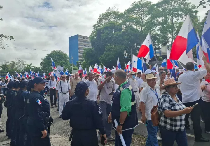 Marcha pacífica hacia el Momumento de los Caídos del 9 de Enero.