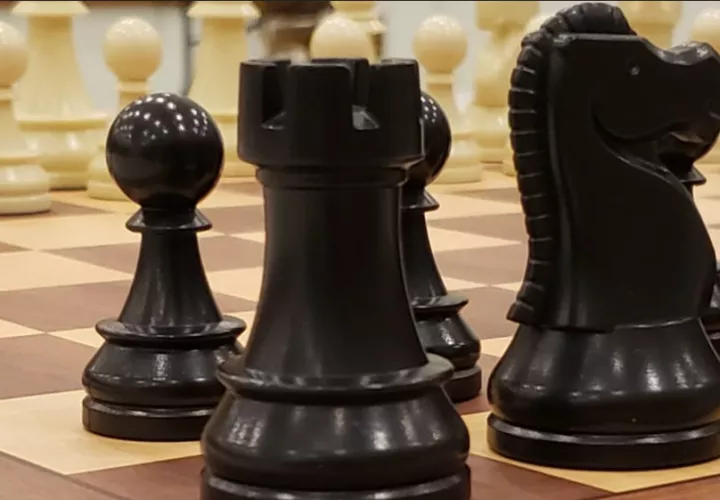 Federación de Ajedrez convoca asamblea para escogerán nuevos miembros. Foto: Cortesía