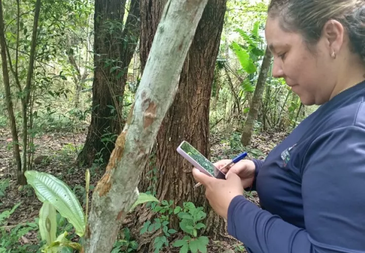 Panamá cuenta con más de 100 áreas protegidas, de las cuales 20 son parques nacionales. Foto: Cortesía