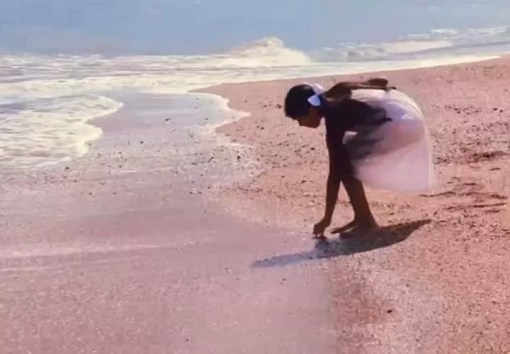 Este proyecto estará dirigido por el Ministerio de la Mujer. Foto: Cortesía