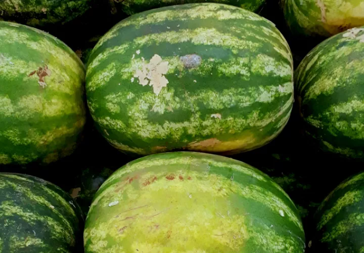 La sandía es el dulce perfecto: nutritivo y sabroso. Foto: Pexels