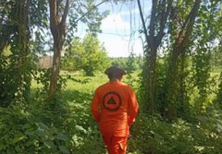 Sinaproc y otras instituciones participan en las labores de búsqueda.