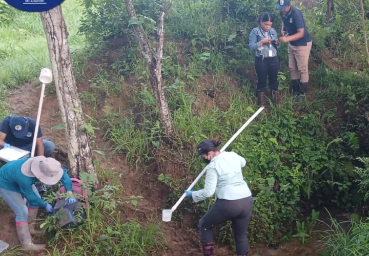 Inspección por personal de la fiscalía y del IMELF.