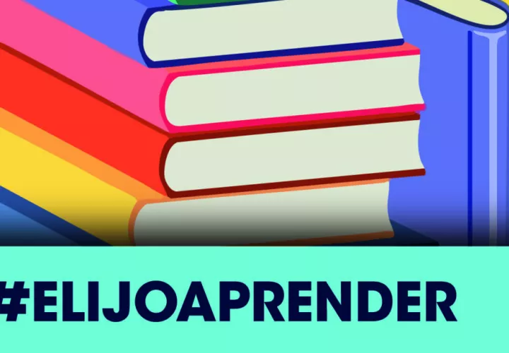 Guías de aprendizaje disponible en el portal del Meduca.