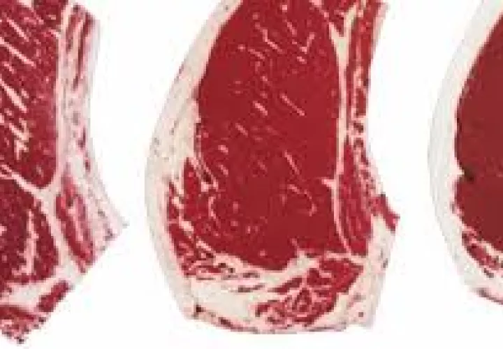 La importación de este tipo de cortes de carne está aprobado por Panamá.