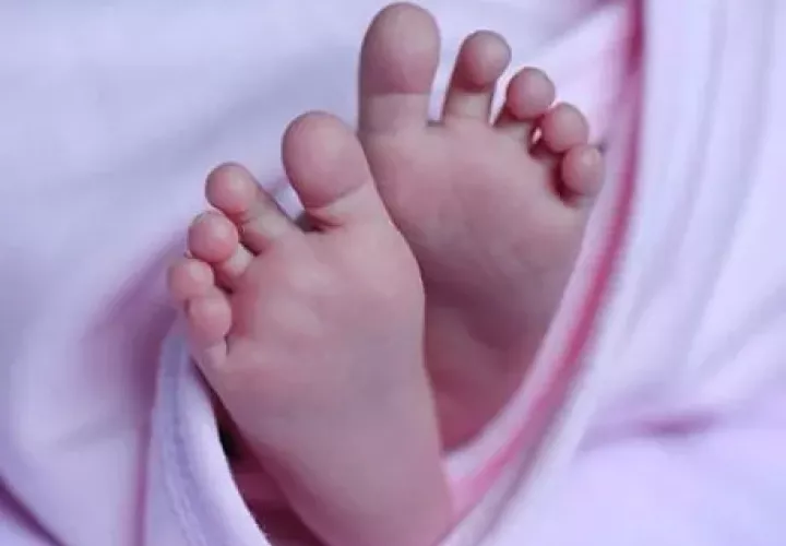 La investigación inició desde el pasado 10 de agosto.