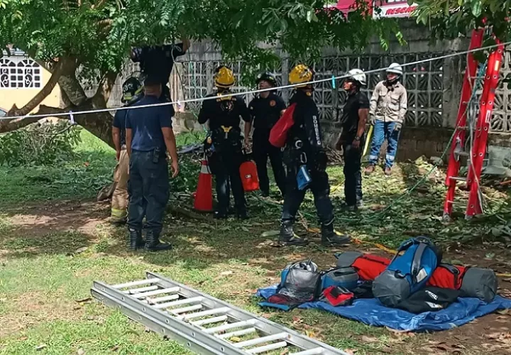 Una rama hizo contacto con un cable de alta tensión del tendido eléctrico, provocando el accidente.  /  Foto: BCBRP