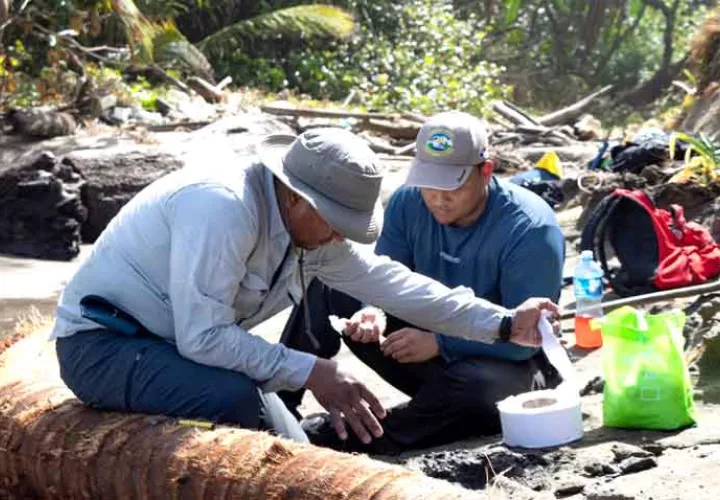 Investigación en campo.