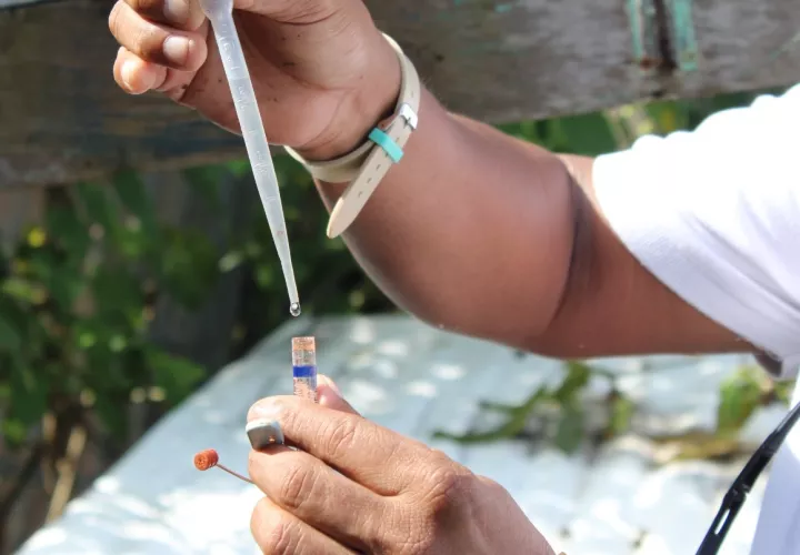 El MINSA reitera el llamado a la población a eliminar criaderos de mosquitos.