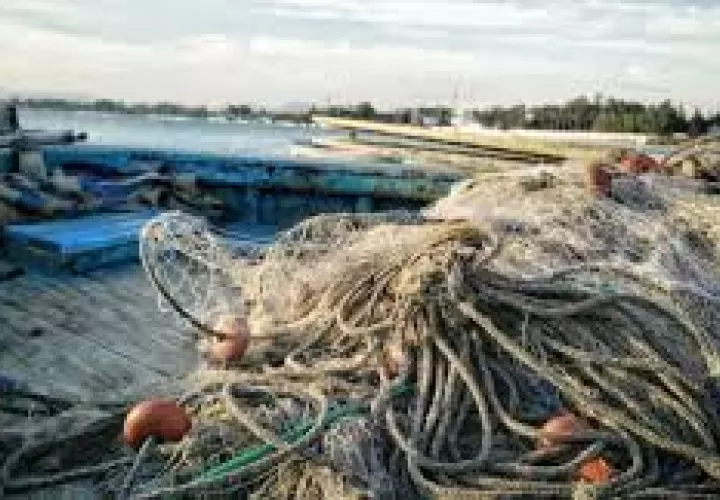 Redes fantasmas dañan el ecosistema.