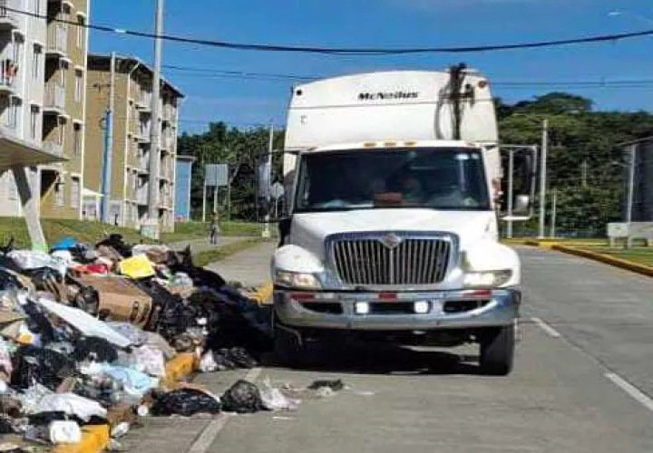 Pataconcitos por todos los rincones de los edificios multifamiliares.