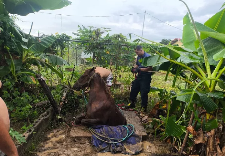 Toda la parte trasera del equipo quedó dentro de la fosa séptica.  /  Foto: BCBRP