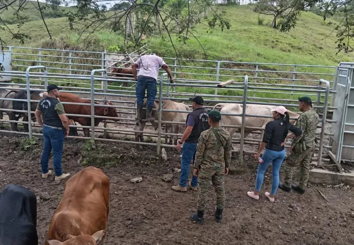 DIJ y personal del Senafront durante el operativo.