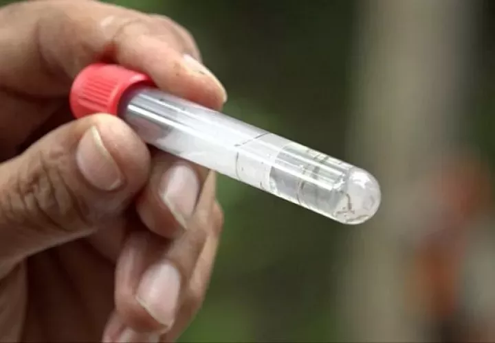 El dengue sigue acechando a la población.