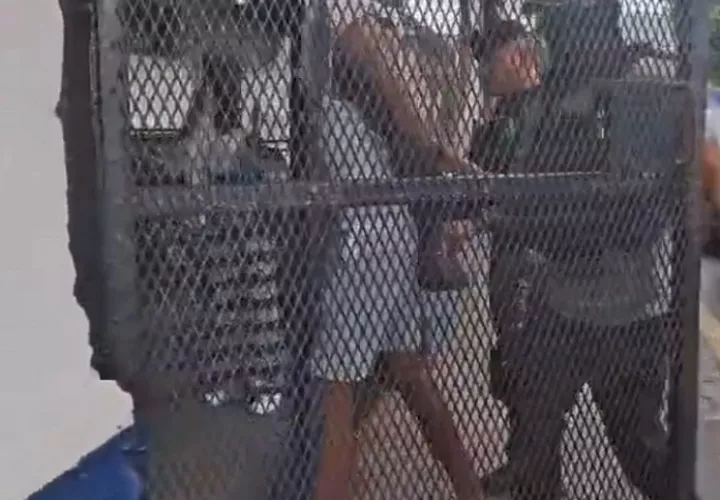 La captura fue realizada en el sector B, de la  la comunidad Santa Teresita.  /  Foto: Diómedes Sánchez