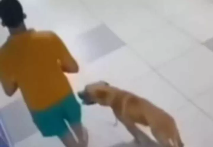 Acto de abandono animal.