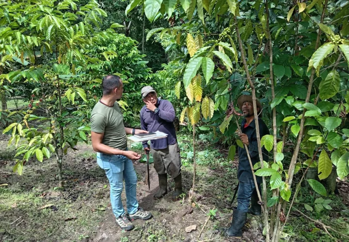 Inspección en fincas.