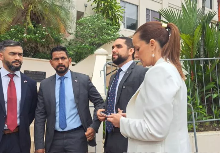 Los diputados de Vamos presentan la demanda ante la CSJ.