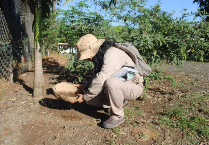 Ya van 12,475 casos de dengue en lo que va del año, de los cuales 84 son graves.