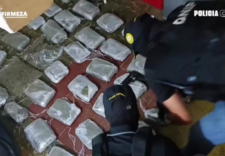 La droga decomisada.