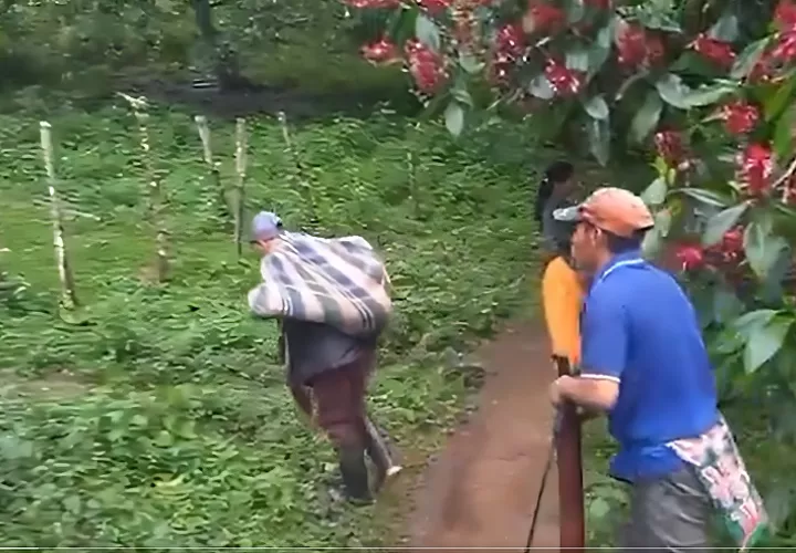 Un profesor carga el cuerpo de una de las estudiantes fallecidas.