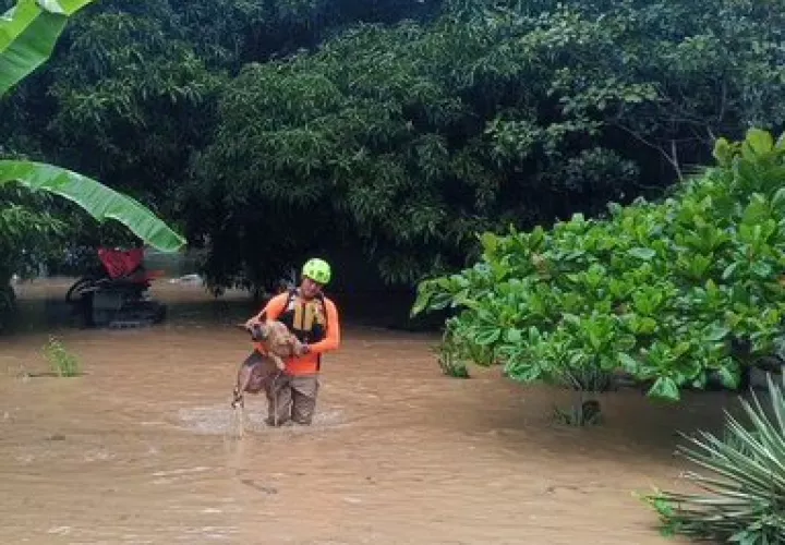Funcionario de Sinaproc salva a un perro tras inundaciones.