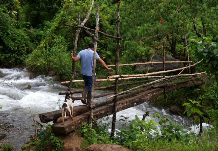  Un hombre camina acompañado de un perro sobre un puente este viernes, en el poblado de Cascabel, distrito de Mironó. Foto: EFE