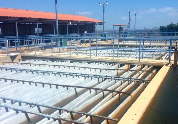 El proceso iniciará en la planta potabilizadora de Llano de Piedras.