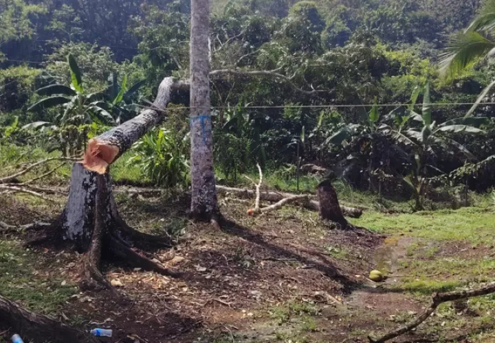 El incidente se reportó en La Unión de Chilibre. Foto: Cortesía