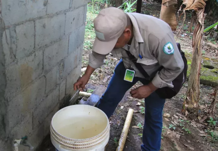 Mantenga limpio su entorno comunitario.