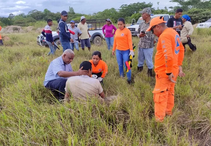 El adulto mayor desapareció el lunes.  /  Foto: Sinaproc