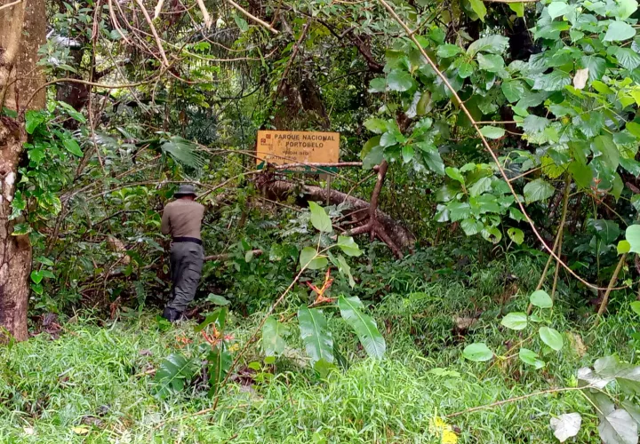 Guardaparques de MIAMBIENTE y la Policía Ambiental están al frente de los patrullajes.