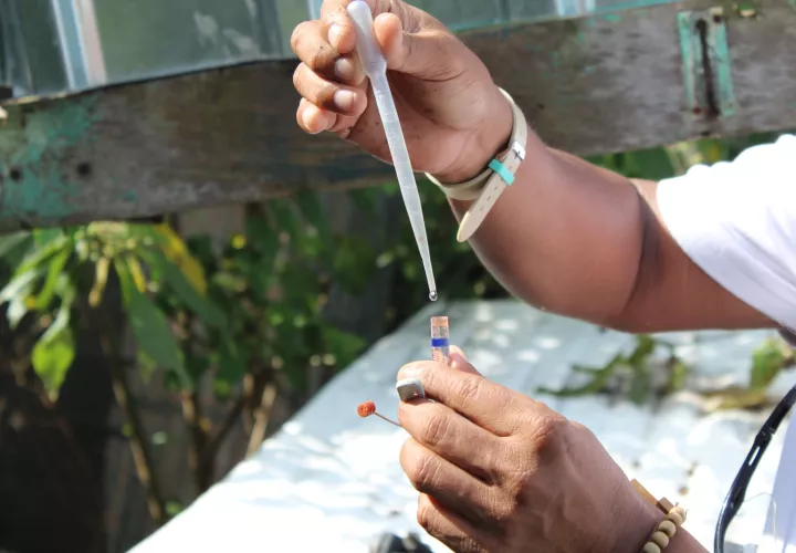 Mantenga limpio su entorno comunitario.