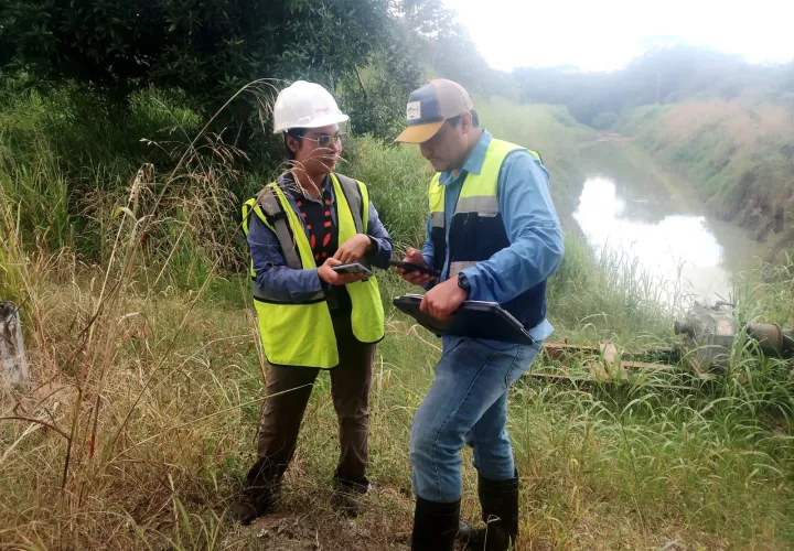Ingenieros y técnicos avanzan en el estudio.