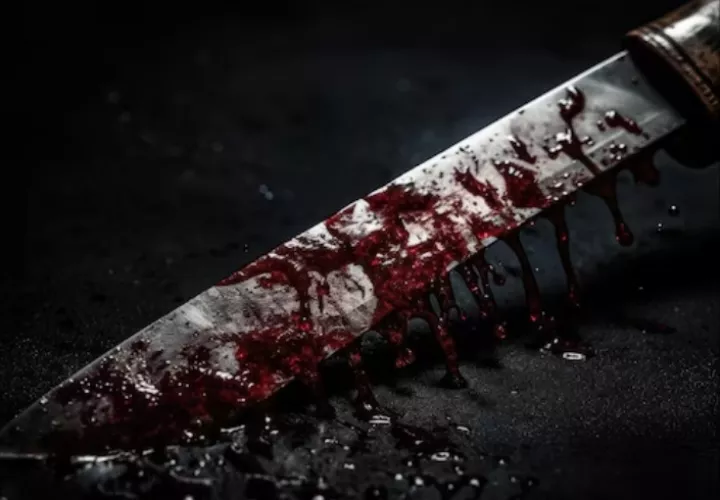 Con este crimen se elevan a 13 los homicidios registrados en la provincia de Coclé en lo que va de este año.  /  Foto ilustrativa: Freepik