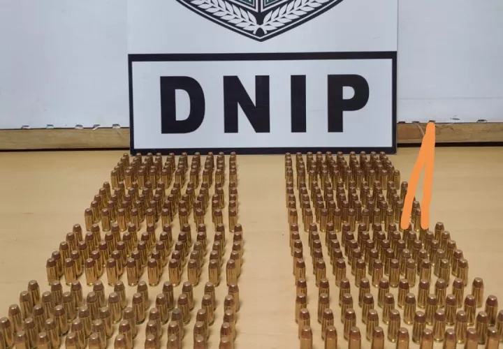 La incautación se dio en la provincia de Chiriquí. Foto: Cortesía 