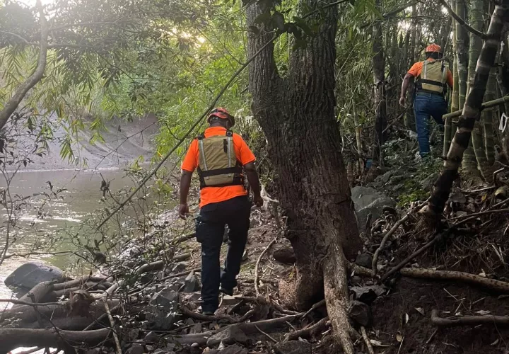 En labores de búsqueda.