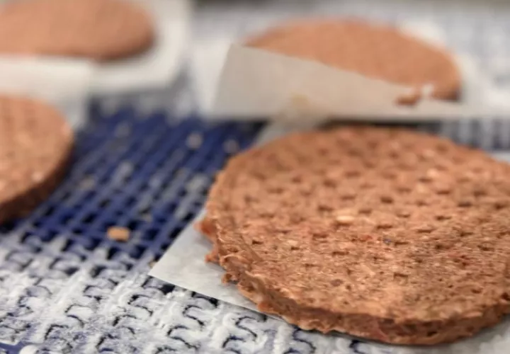 Panamá avanza en hoja de ruta para exportar carne bovina. Foto: Cortesía