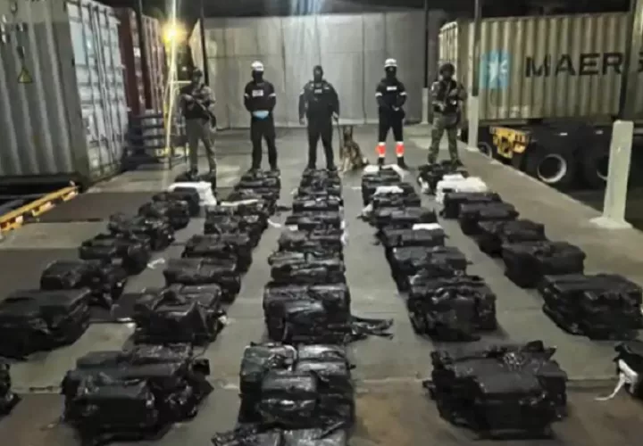 El cargamento incautado por las autoridades. 